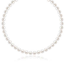 Load image into Gallery viewer, 471113741